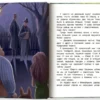 Майя Лазаренская: Сыскное бюро Брюм. Пропажа в Скучном парке