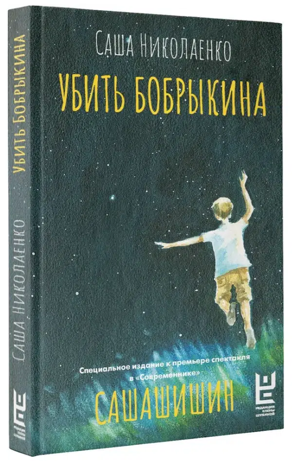 Саша Николаенко: Убить Бобрыкина. САШАШИШИН