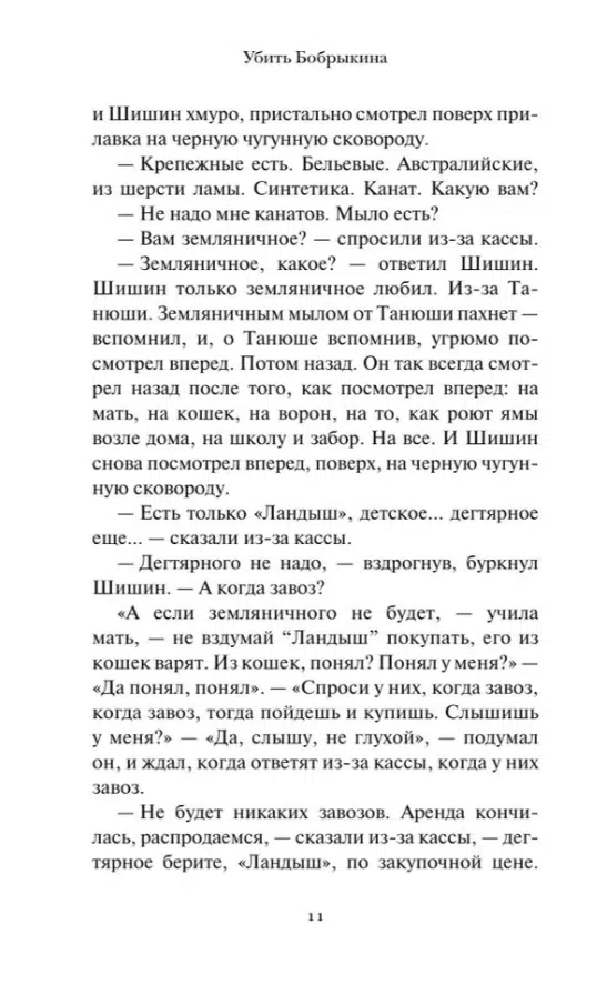 Саша Николаенко: Убить Бобрыкина. САШАШИШИН
