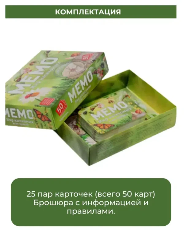 Мемо. Мир насекомых и не только