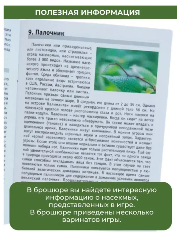 Мемо. Мир насекомых и не только