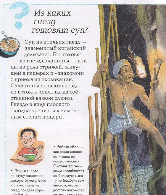 Что, зачем и почему? Энциклопедия для любознательных