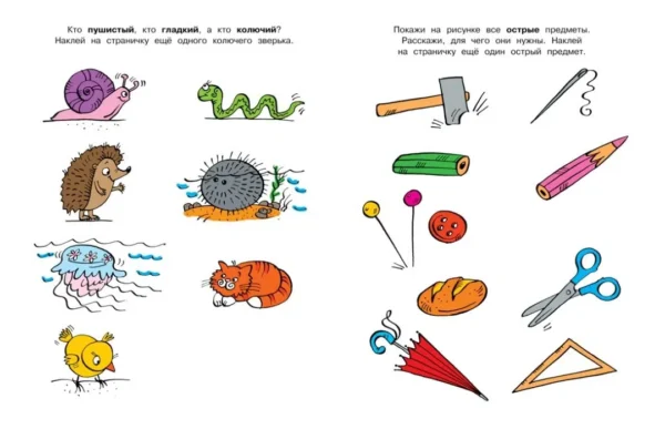 Свойства предметов. 5-6 лет