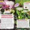 Удивительные растения. Современная энциклопедия.
