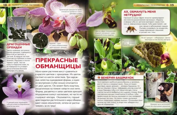 Удивительные растения. Современная энциклопедия.