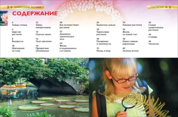 Удивительные растения. Современная энциклопедия.