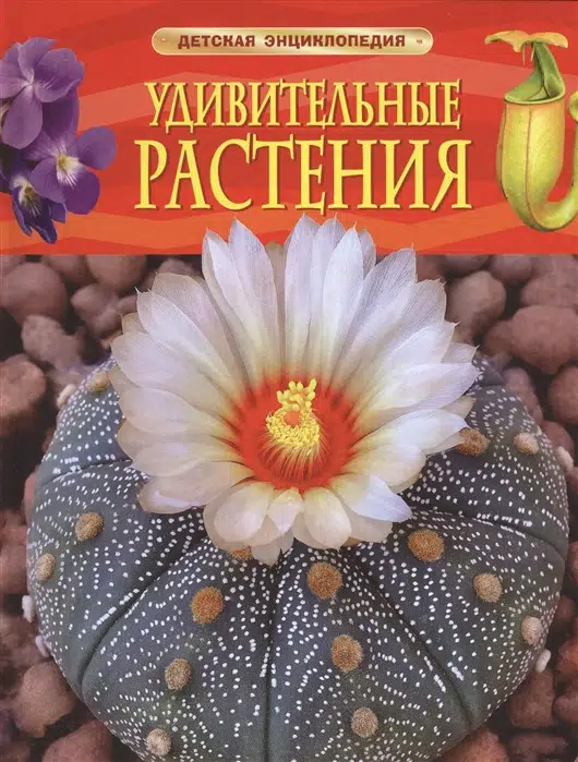 Удивительные растения. Современная энциклопедия.