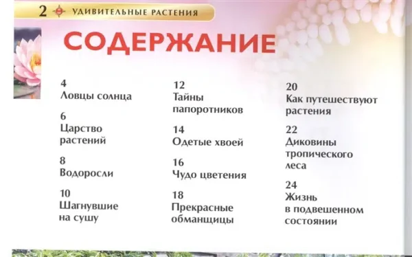 Удивительные растения. Современная энциклопедия.