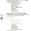 Українські народні казки (УКР.ЯЗ)