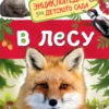 В лесу. Энциклопедия для детского сада