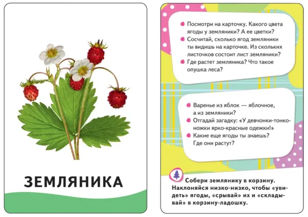 В лесу (набор из 32 карточек 0+)