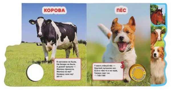 В.Степанов: Домашние животные