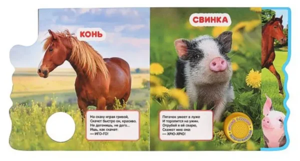 В.Степанов: Домашние животные