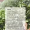 Юля Рэй: Вдохновляющая книга смузи