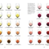 Wine Folly. Издание Магнум, детализированное
