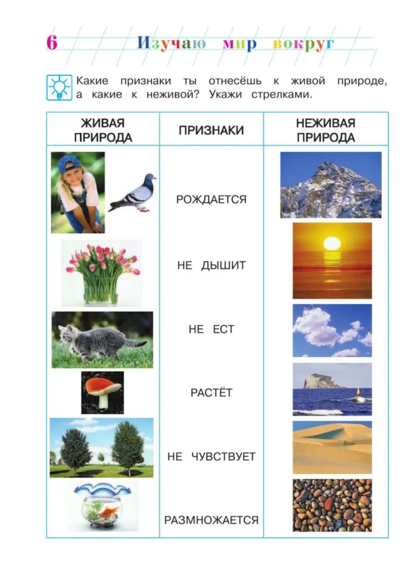 Изучаю мир вокруг: для детей 6-7 лет