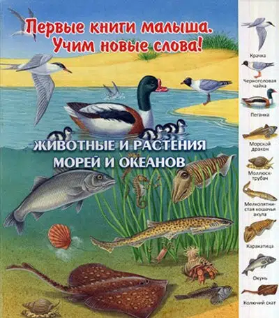Животные и растения морей и океанов. Первые книги малыша. Учим новые слова