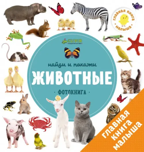 Животные. Найди и покажи