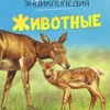 Животные. Твоя первая энциклопедия