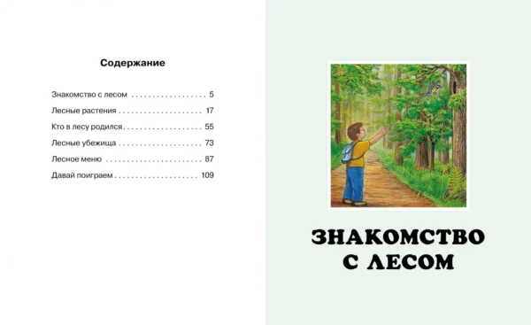 Жизнь леса. Твоя первая энциклопедия