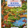 Жизнь животных. Виммельбух