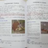 Жукова. Уроки правильной речи и правильного мышления