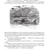 Жюль Верн: Дети капитана Гранта