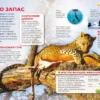 Животные. Детская энциклопедия