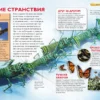 Животные. Детская энциклопедия