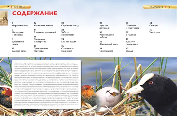 Животные. Детская энциклопедия