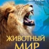 Животный мир. Иллюстрированный атлас