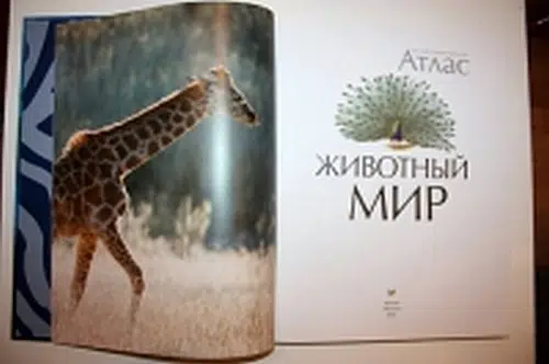 Животный мир. Иллюстрированный атлас