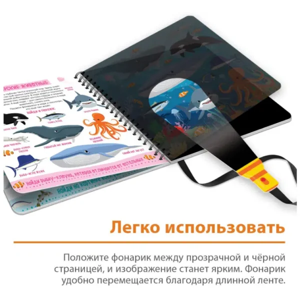 Зооленд. Секретная книга с волшебным фонариком