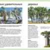 Универсальная школьная энциклопедия