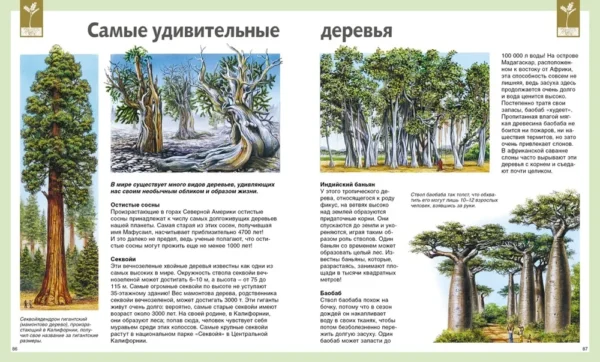 Универсальная школьная энциклопедия