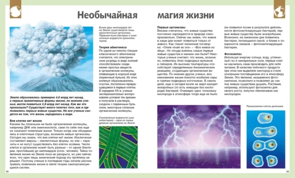 Универсальная школьная энциклопедия