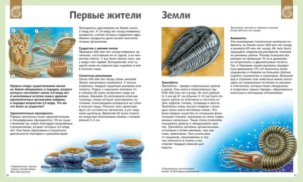 Универсальная школьная энциклопедия