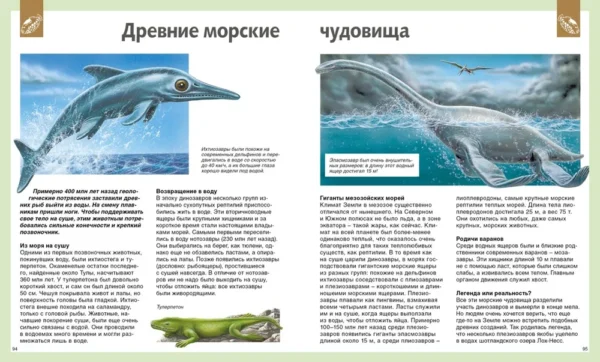 Универсальная школьная энциклопедия