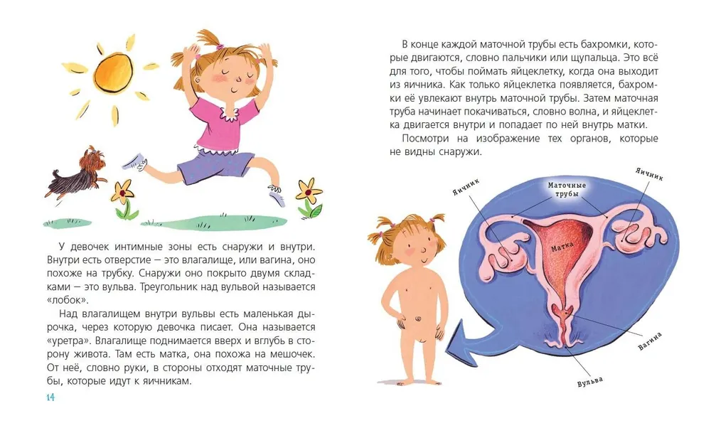 Гейл Зальц: Наш первый разговор об ЭТОМ. Только для детей!