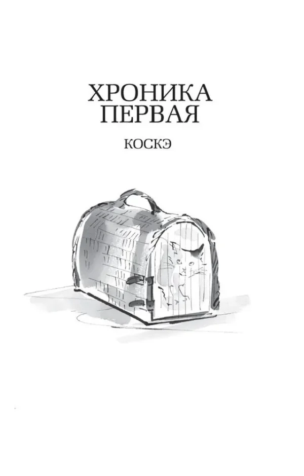 Хиро Арикава: Хроники странствующего кота (The Big Book)