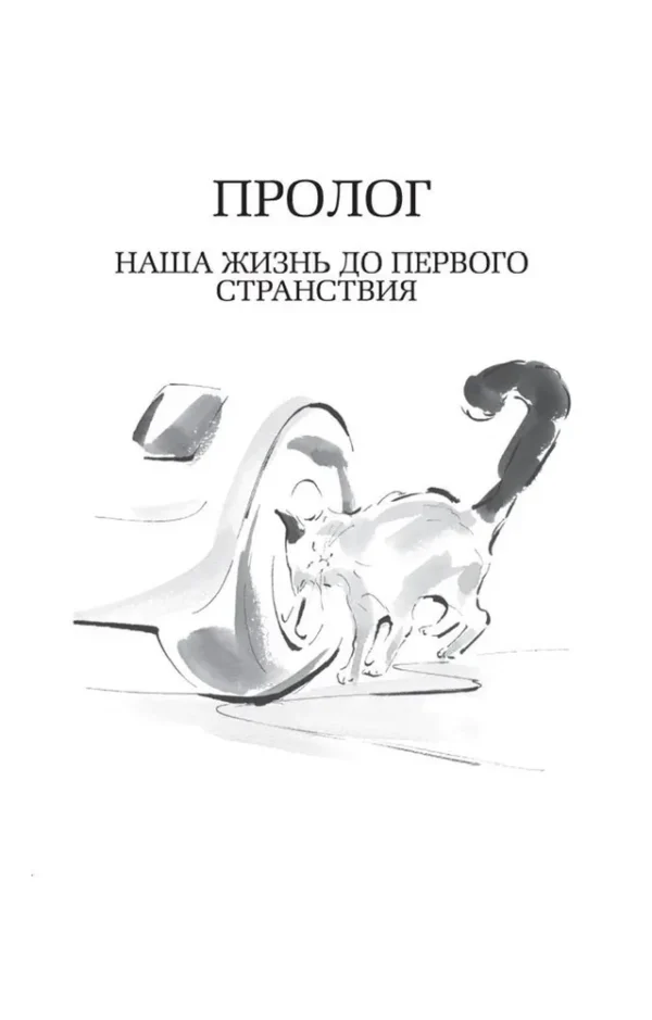 Хиро Арикава: Хроники странствующего кота (The Big Book)