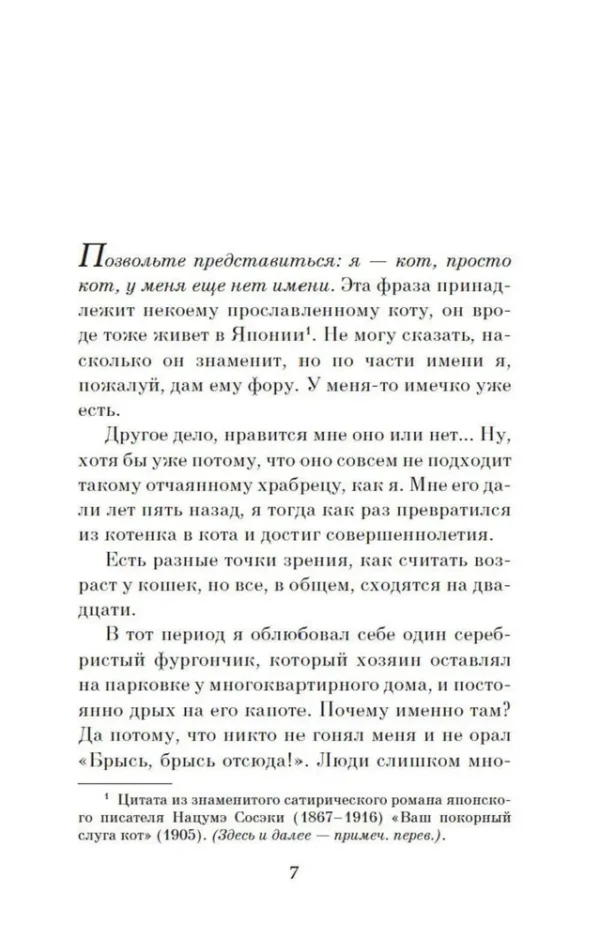 Хиро Арикава: Хроники странствующего кота (The Big Book)