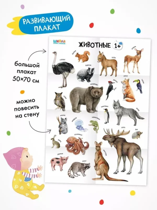 Школа Семи Гномов. Годовой базовый курс. Комплект 1+