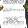 Юлия Венедиктова: Шумелкины проделки