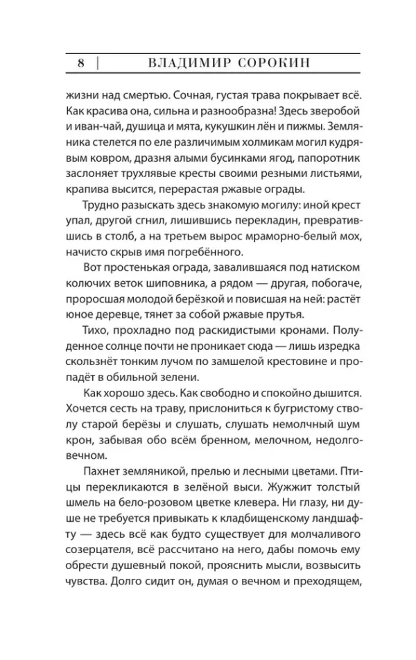 Владимир Сорокин: Роман