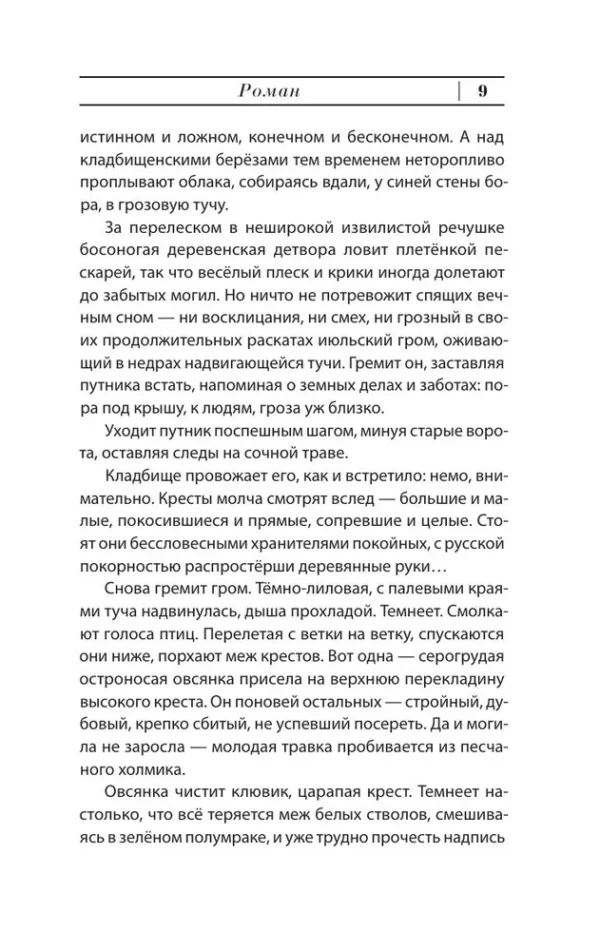 Владимир Сорокин: Роман