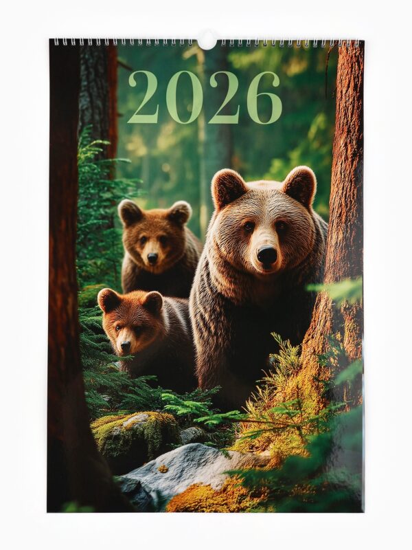 Календарьперекидной на ригеле «Леса» 2026