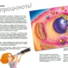 Патрік А. Боєрле: Дивовижний світ клітин (УКР.ЯЗ)