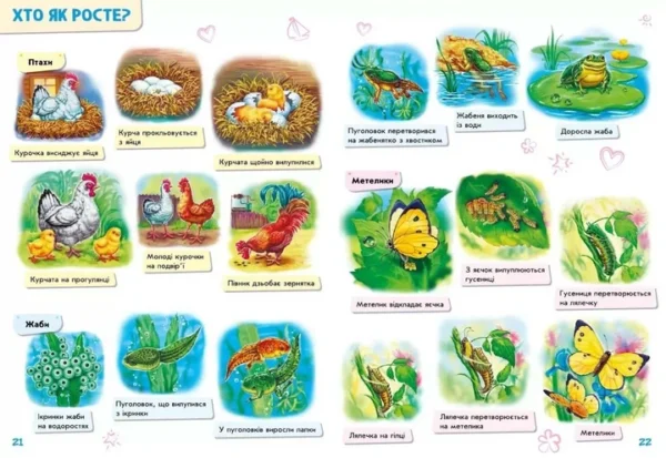 Малюкові про все на світі (УКР.ЯЗ)