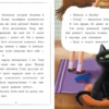 Катажина Шестак: Загубився Тигр! (УКР.ЯЗ)